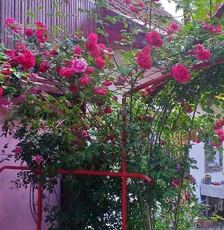 Casa Boierului Imbri